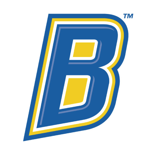 CSU Bakersfield Roadrunners logo Iron-on Transfers N4057